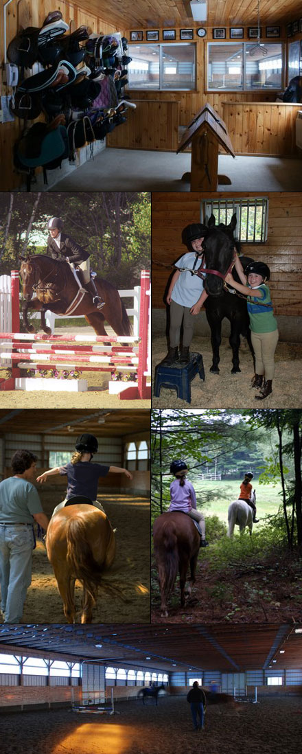 boarding, training, lessons